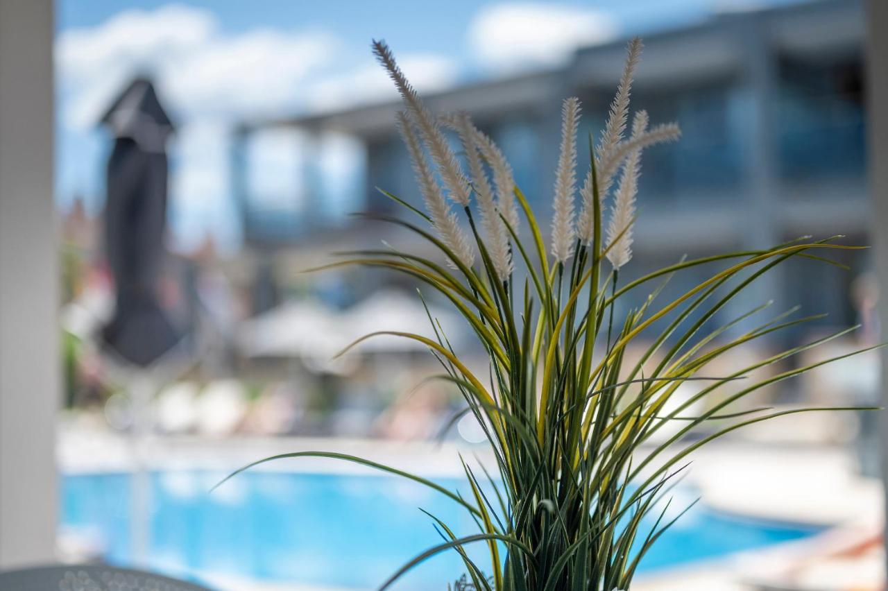 Dionysos Hotel & Suites Ханіоті Екстер'єр фото